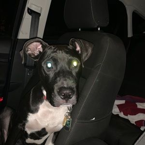 Meet your Posher, Patricia